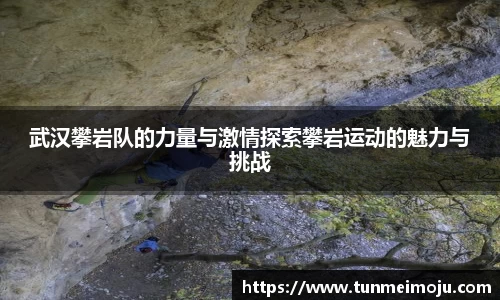 3003新葡的京集团官网