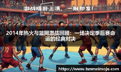 2014年热火与篮网激战回顾：一场决定季后赛命运的经典对决