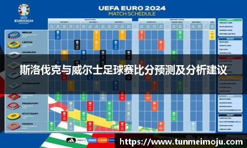 斯洛伐克与威尔士足球赛比分预测及分析建议